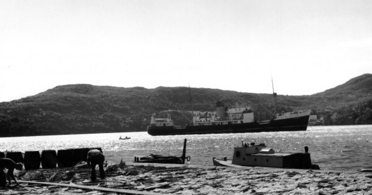 the ss bar haven sailing