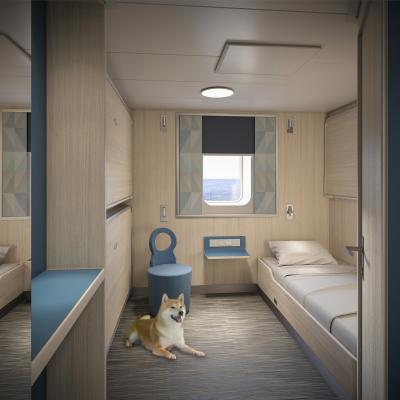 Dog in the pet friendly cabin