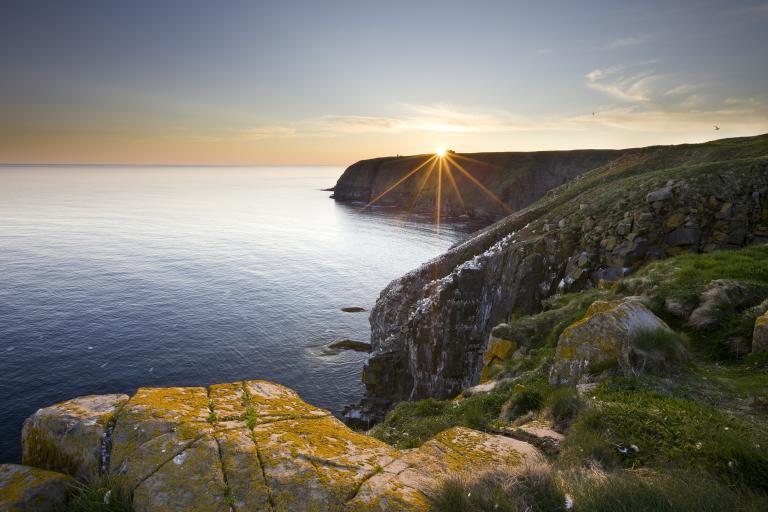 coastline of newfoundland
