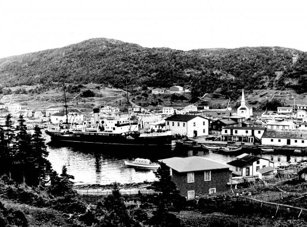 Jackson's Arm Circa 1955