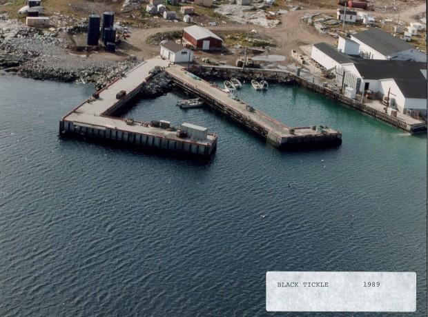 Image of Black Tickle 1989