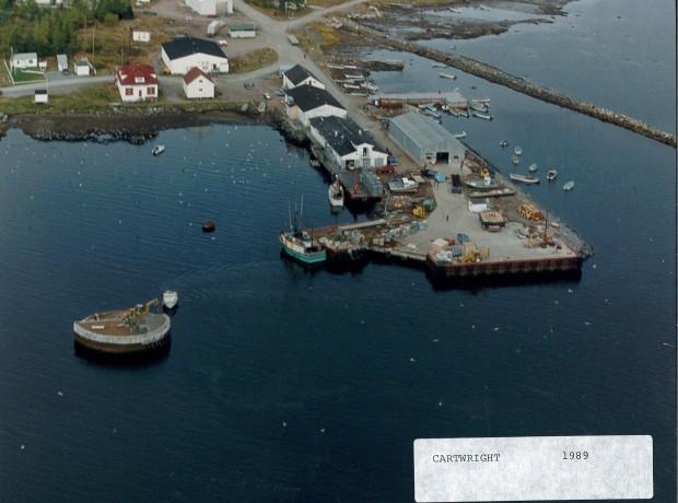 Image of Cartwright 1989