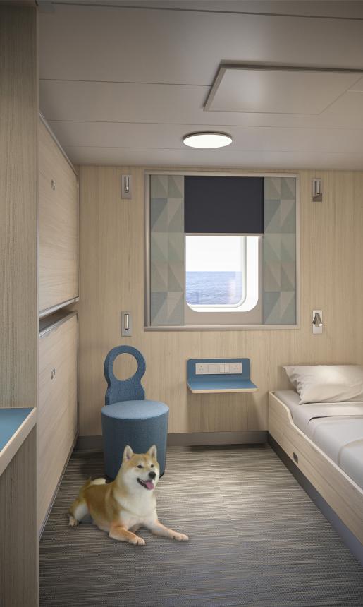 Dog in the pet friendly cabin